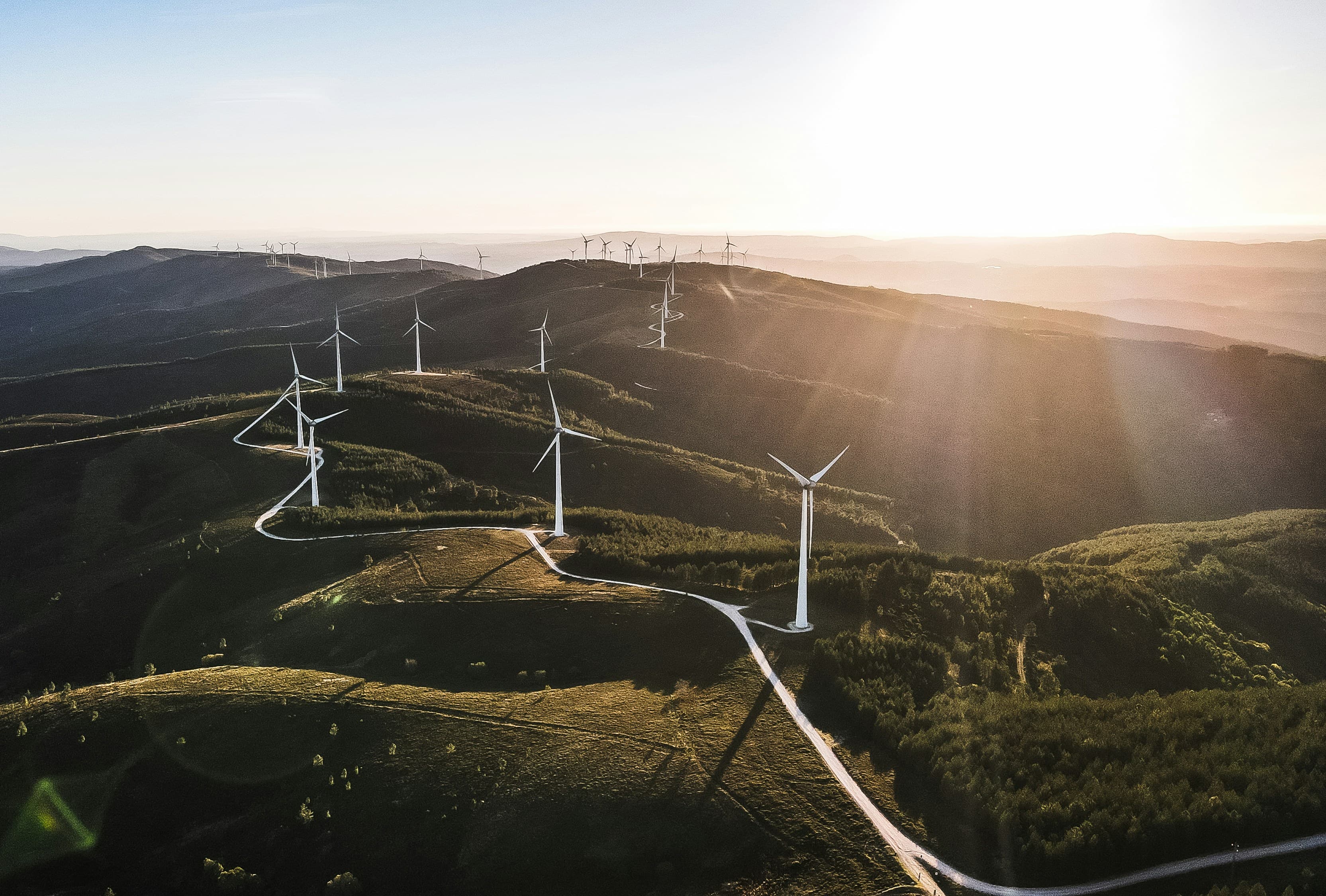 AI Sustainability Reports